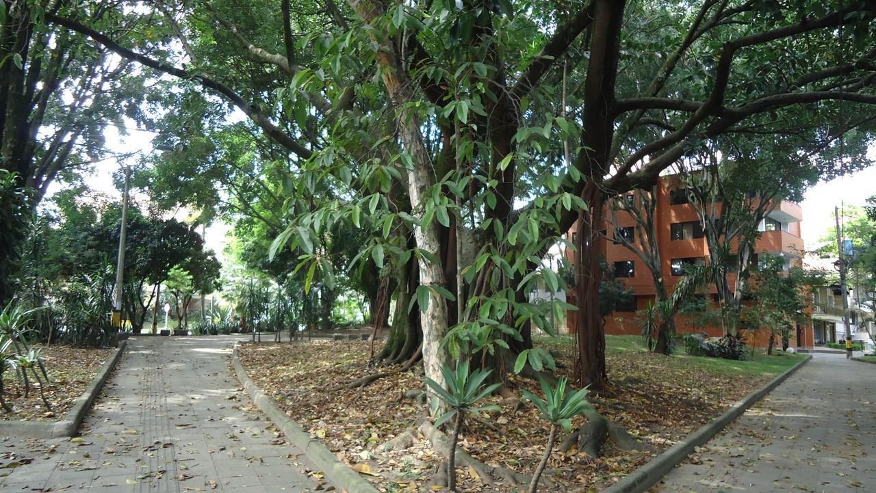 Iris Hostel ميديلين المظهر الخارجي الصورة
